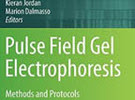 Book cover for PFGE Methods and Protocols