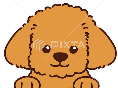 トイプードル かわいい 犬 イラスト 走る 123611