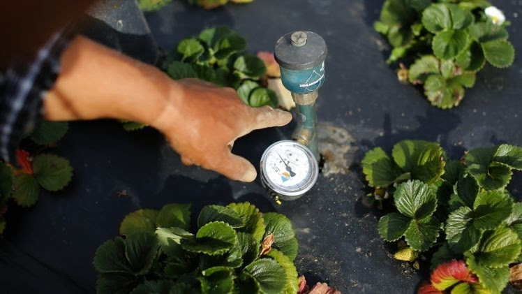 NASA: Agua potable en California podría acabar dentro de un año