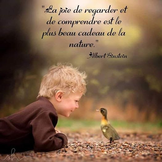 Image De Citation Citation Amour Et Nature