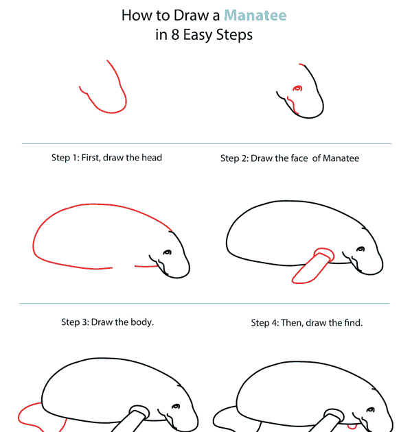 30+ Top For Manatee Drawing Easy Step By Step | Armelle Jewellery