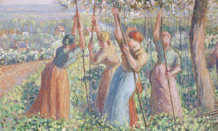 Drawing by Camille Pissarro of women in a field pushing stakes into the ground to support pea plants