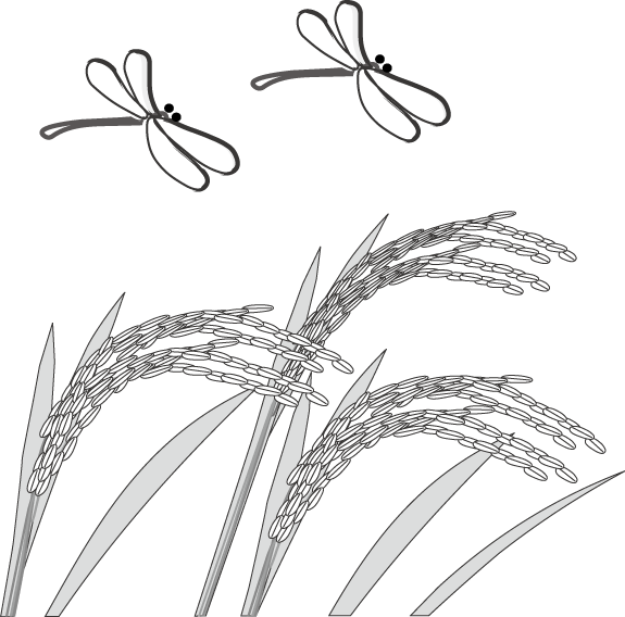 美しい花の画像 ベスト50 稲穂 イラスト 白黒