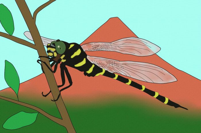 美しい花の画像 ロイヤリティフリーおにやんま イラスト