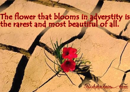 Our capacity to love is not limited; The Flower That Blooms In Adversity Is The Inspirational Quotes Pictures Motivational Thoughts