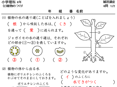 [10000ダウンロード済み√] 6年理科 314437