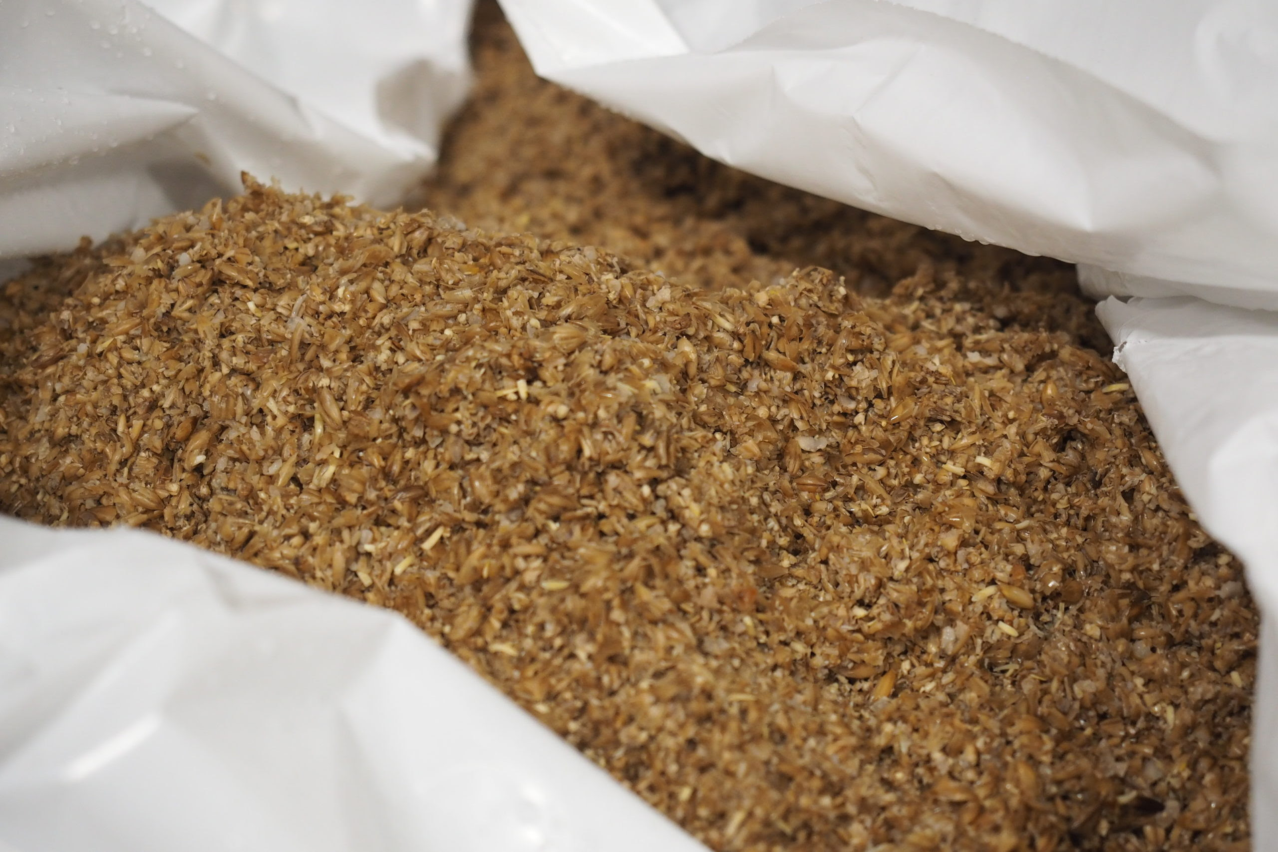 Making Barley Bread : Jim Lahey's No-Knead Bread Recipe ...