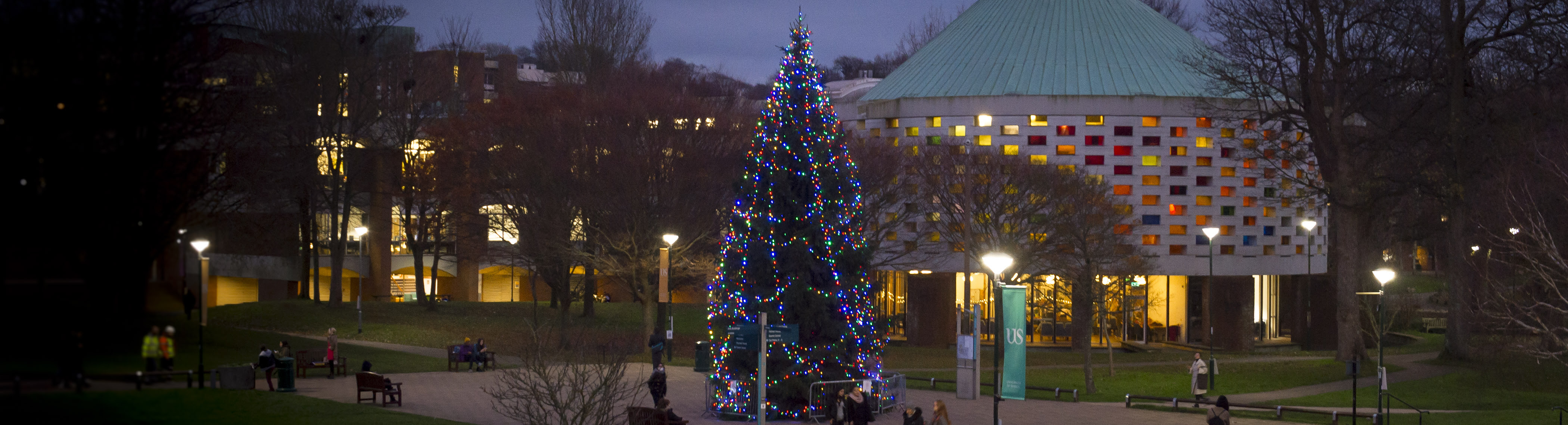 Library Square Tree