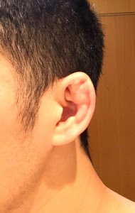 壁紙hdについての最良の選択 最高ever 柔道部耳