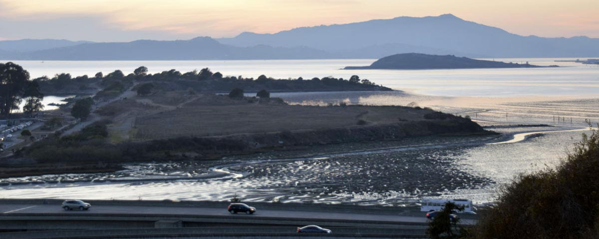 East Bay mud flats