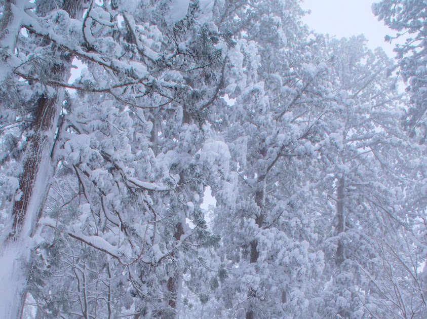 ハイパワーターボプラス4wdこの条件にあらずんばクルマにあらずだ