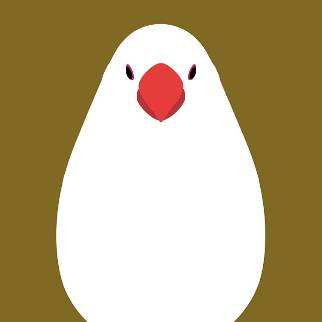 ベスト50 文鳥 壁紙 最高の花の画像