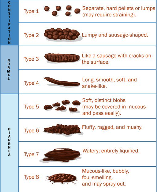 Diet For Ulcerative Colitis In Dogs - DIETOSA