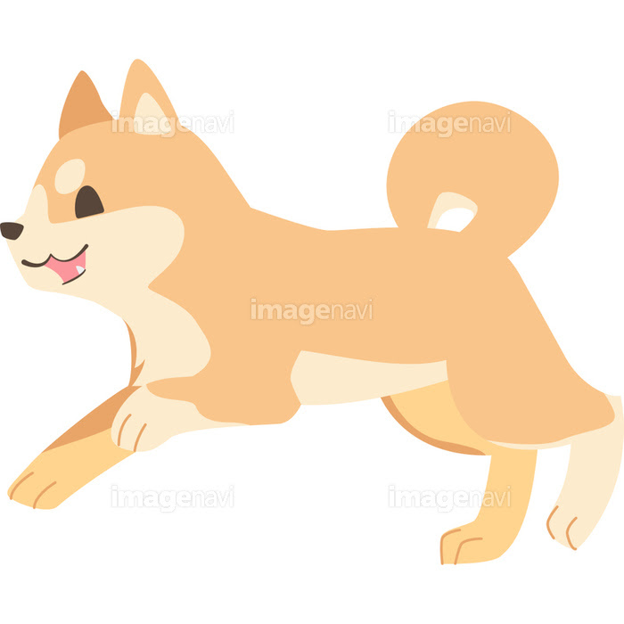 ゆるい 柴犬 イラスト 簡単