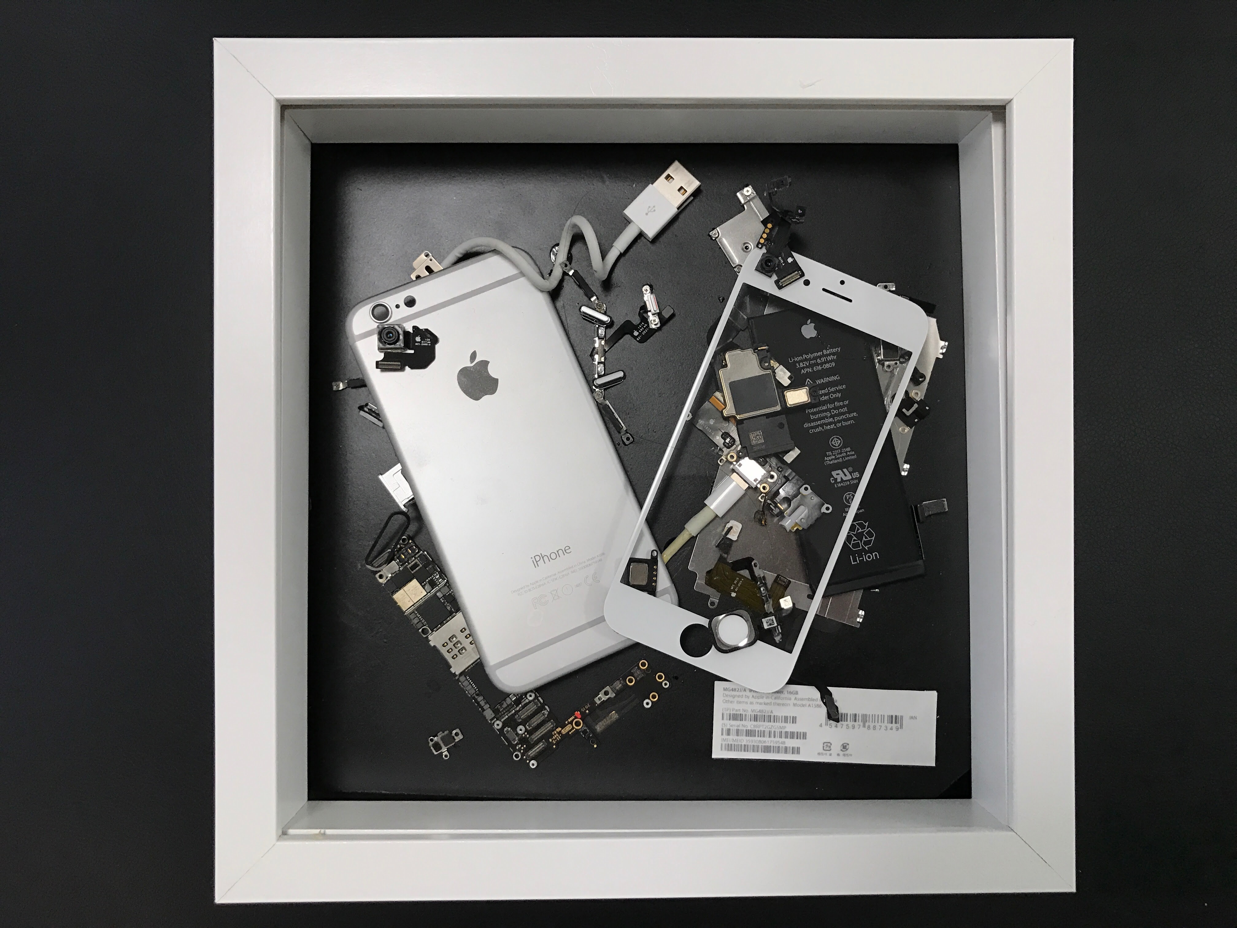 Jongeres 最も検索された Iphone6 スケルトン 壁紙