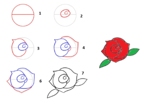  Gambar  Bunga Mawar Yg  Mudah  Di Gambar  Info Terkait Gambar 