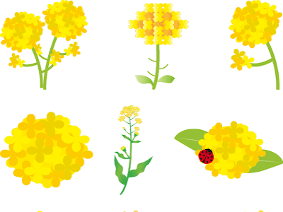 [最も人気のある！] 菜の花 イラスト リース 345220