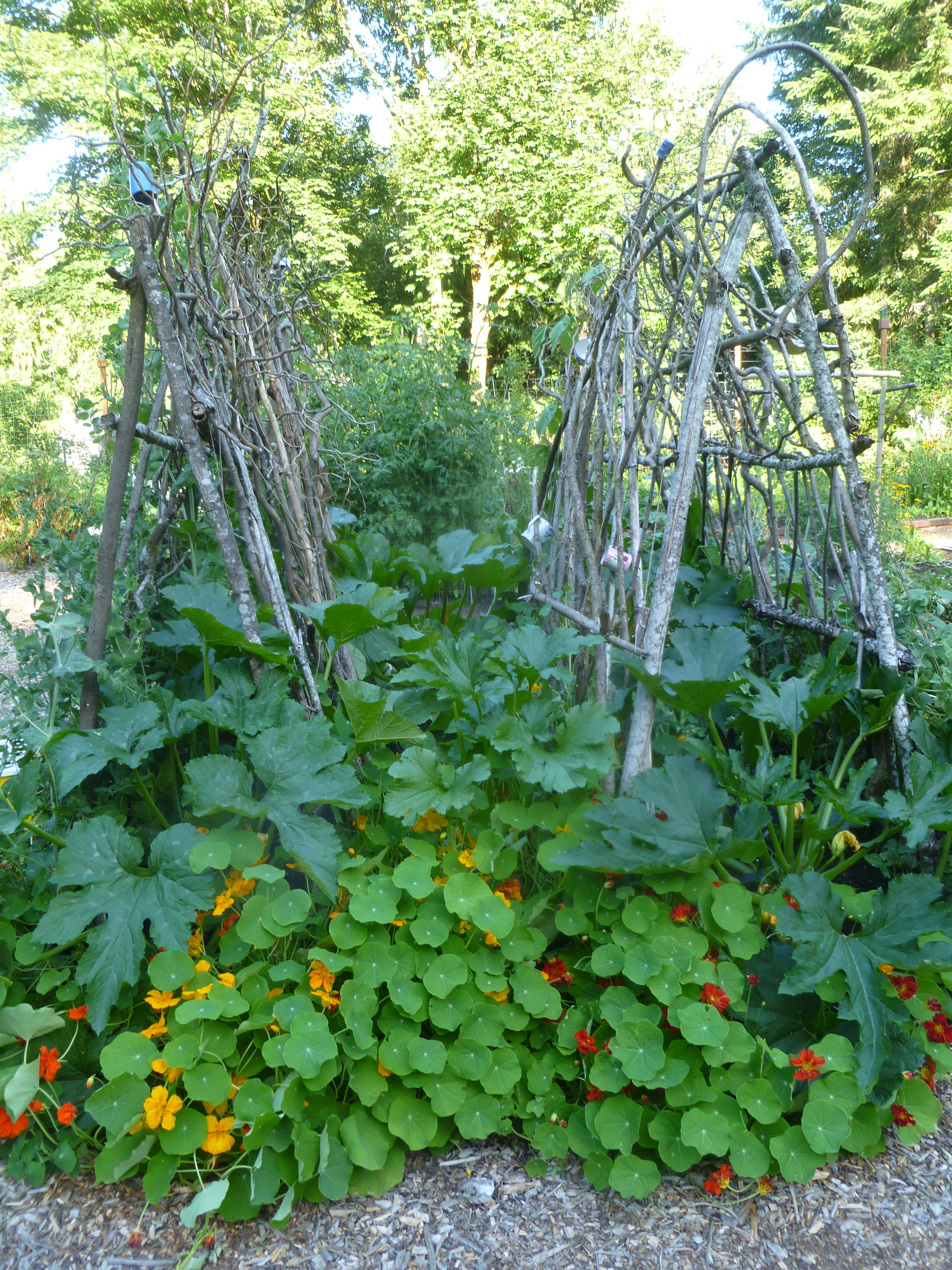 Garden Trellis Ideas Pictures Architecture Decorating Ideas