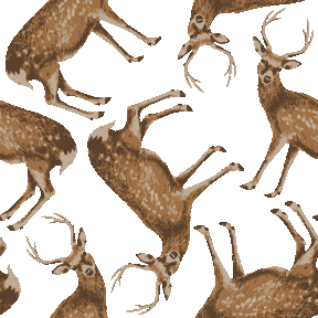 これまでで最高の鹿 イラスト リアル 最高の動物画像