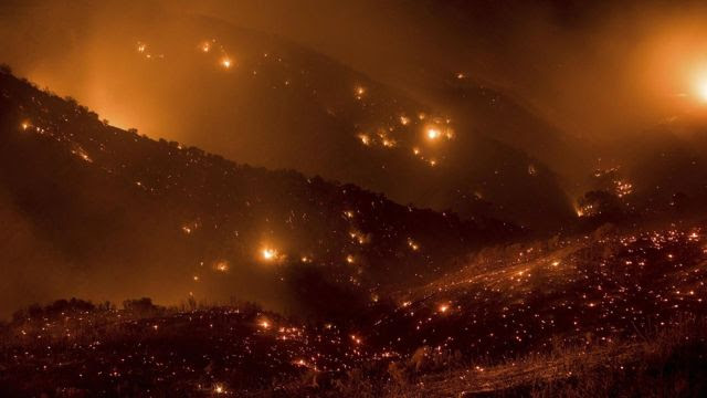 Nostradamus escribió: «Los reyes robarán los bosques, el cielo se abrirá y los campos serán quemados por el calor».