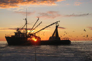 750x500-sustainable-fisheries-northeast