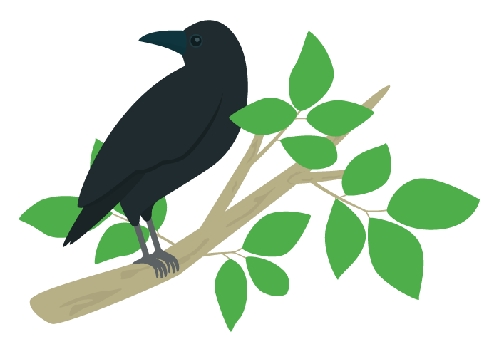 カラス かっこいい イラスト カラス カッコイイ イラスト