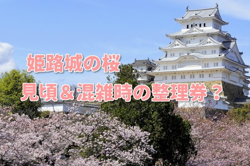 最も好ましい 桜 壁紙 姫路城 ただのhd壁紙