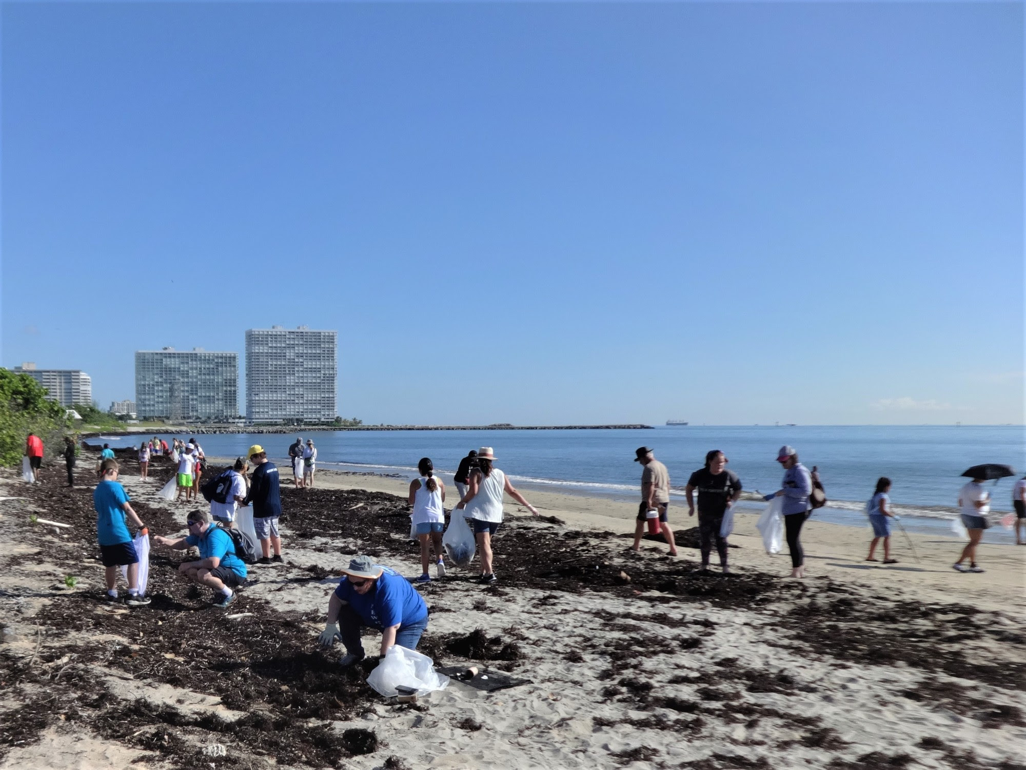 Volunteer spread across the beach at Mizell - Johnson State Park, picking up trash. 
