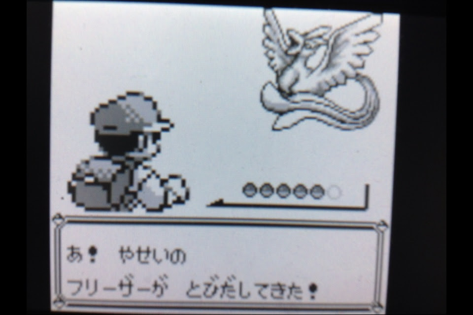 ポケモン 赤 フリーザー 世界漫画の物語