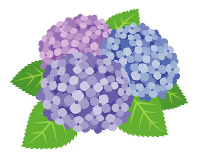 Ngagolak 花 イラスト フリー 透過