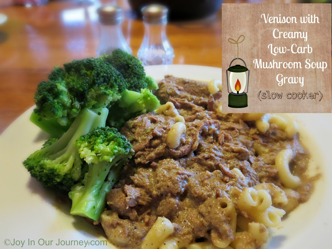 What about tandoori chicken or a quick fish stew for dinner tonight? Venison With Creamy Low Carb Mushroom Soup Gravy Slow Cooker Joy In Our Journey