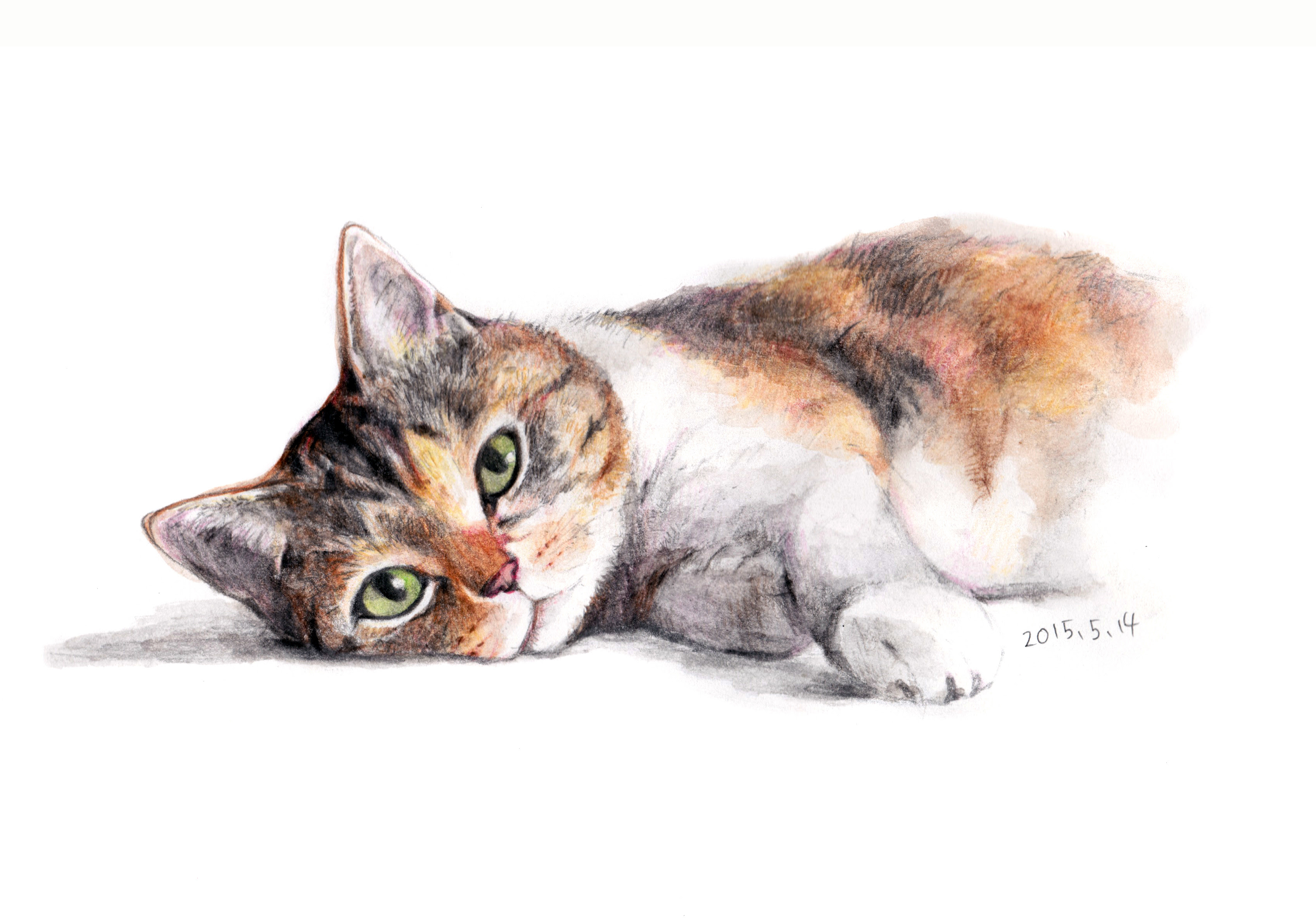 最高の猫 イラスト かわいい リアル 無料イラスト集