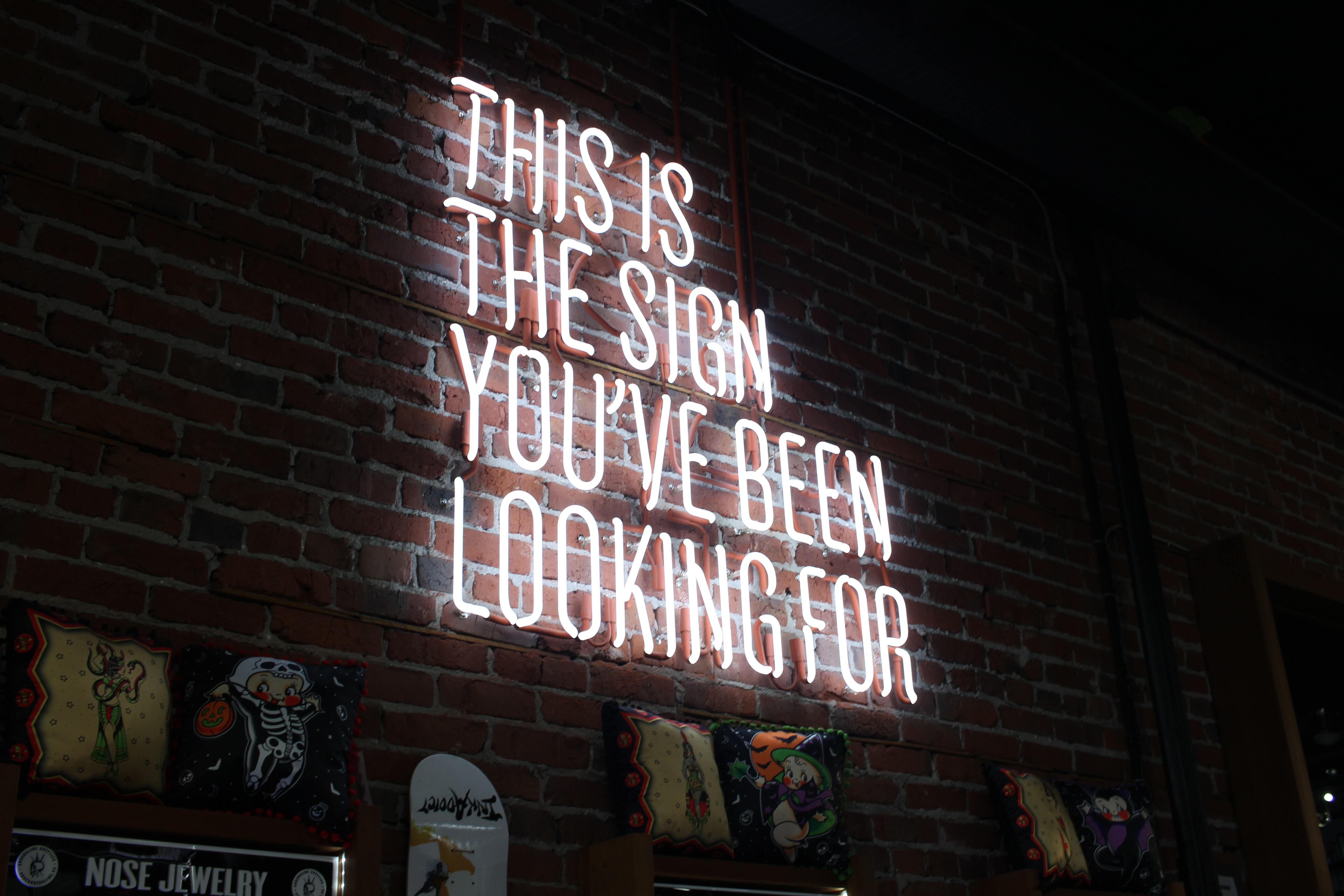 Photo of a white neon sign that reads "this is the sign you've been looking for" on a dark brick background.