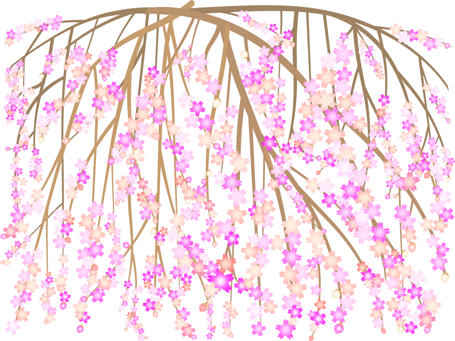 綺麗なイラスト しだれ 桜 ディズニー画像のすべて