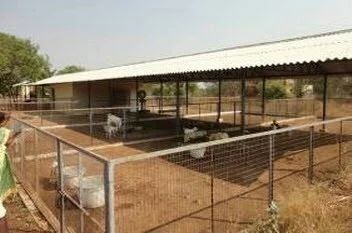 cheap shed online: cow shed construction cost in tamilnadu