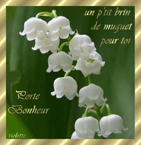 Images Bouquet De Muguet Gratuites Popular Century