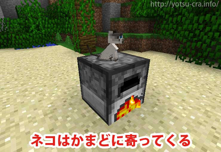 最新 マイクラ 猫 手懐け方 マイクラ 猫 手懐け方 スイッチ