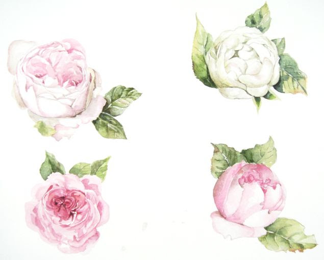 Hd限定水彩画 バラ の 花 描き 方 最高の花の画像