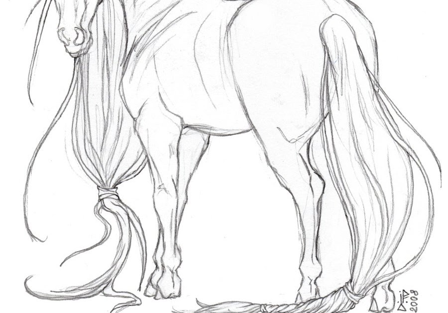 How To Draw A Realistic Unicorn With Wings Step By Step Drawing