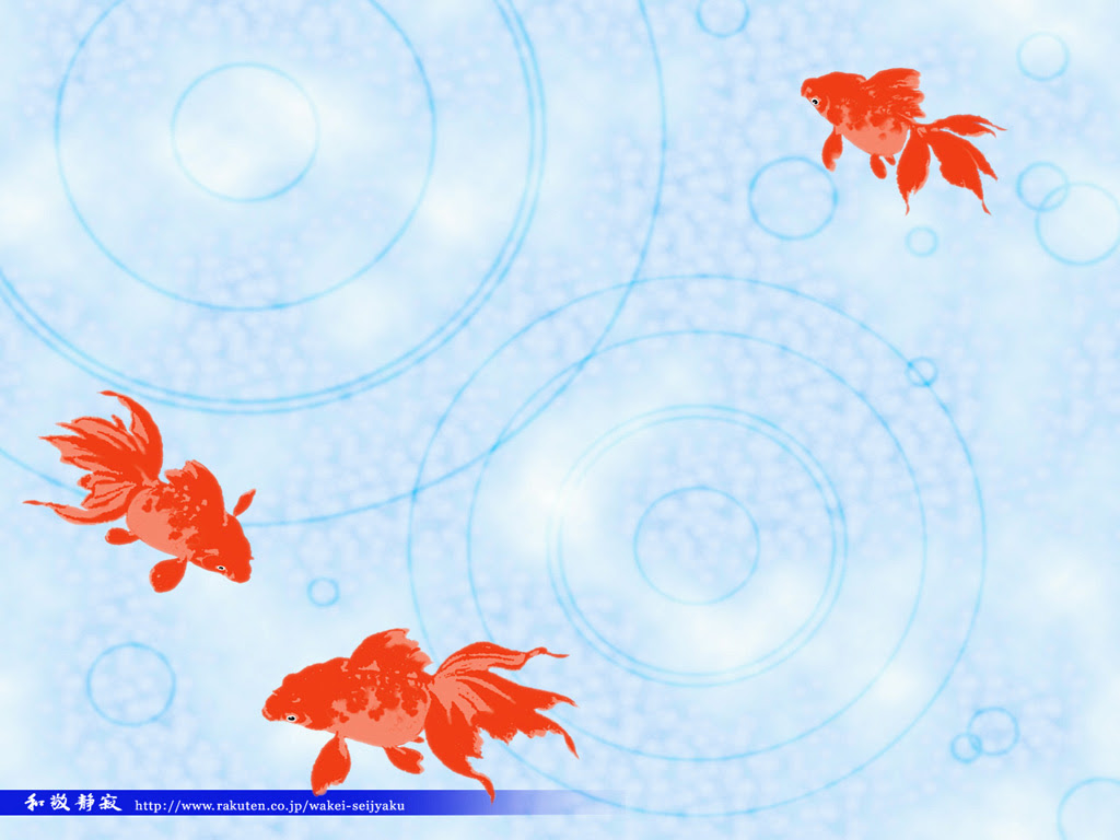 最新のhd和風 金魚 壁紙 最高の花の画像