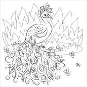 By best coloring pages july 24th 2013. Peacocks Coloring Pages Free Coloring Pages