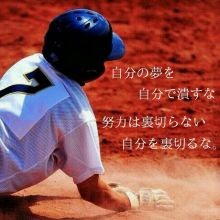 無料ダウンロード 高校 野球 名言 壁紙