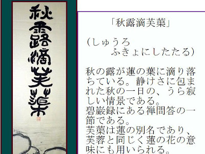 秋のイメージ 言葉 241127-秋のイメージ 言葉