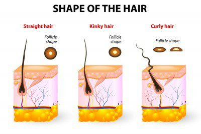 Generally, laser hair removal is such a common part of our practice, that we haven't really seen complications. Laser Hair Removal For Different Skin And Hair Types Cameo College Of Essential Beauty