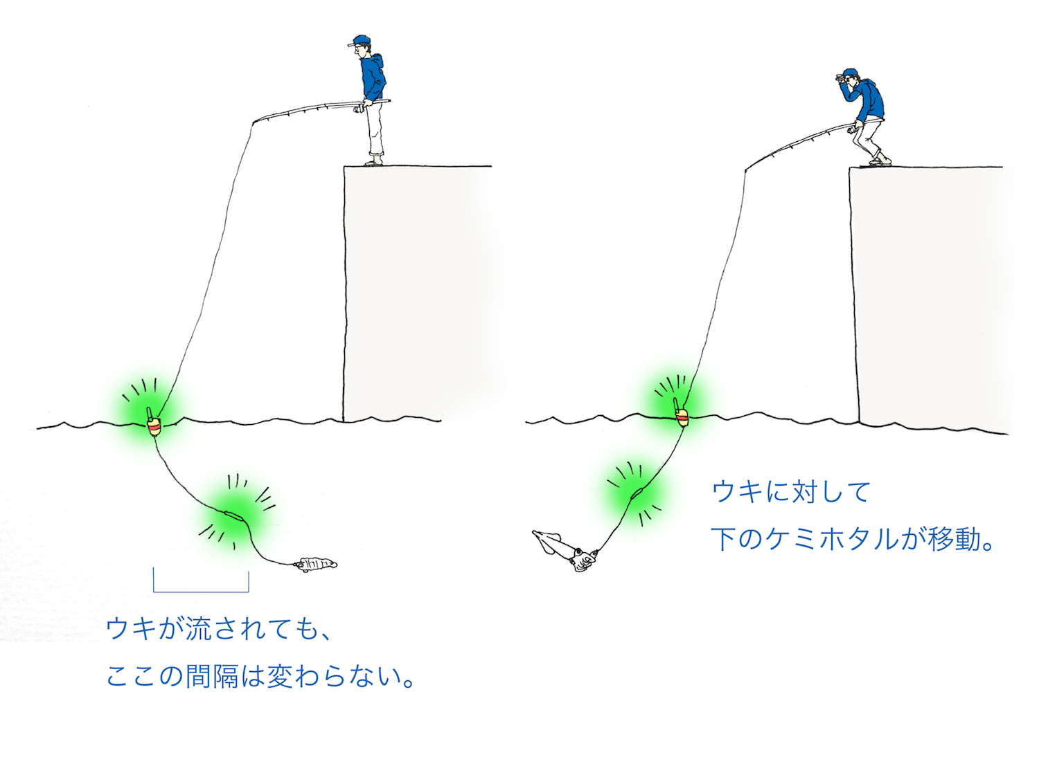 画像をダウンロード アカイカ 釣り方 堤防 アカイカ 釣り方 堤防 Gambar Keren