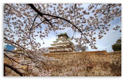 We hope you enjoy our growing collection of hd images to use as a background or home screen for your smartphone or please contact us if you want to publish an osaka castle wallpaper on our site. Osaka Castle Sakura Ultra Hd Desktop Background Wallpaper For 4k Uhd Tv Widescreen Ultrawide Desktop Laptop Tablet Smartphone