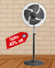 Fans Special