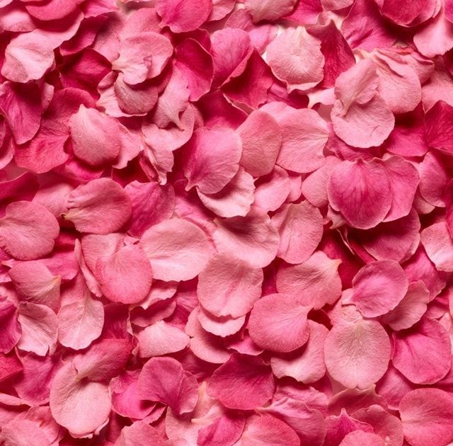 すべての美しい花の画像 最高iphone 壁紙 ピンク 高画質