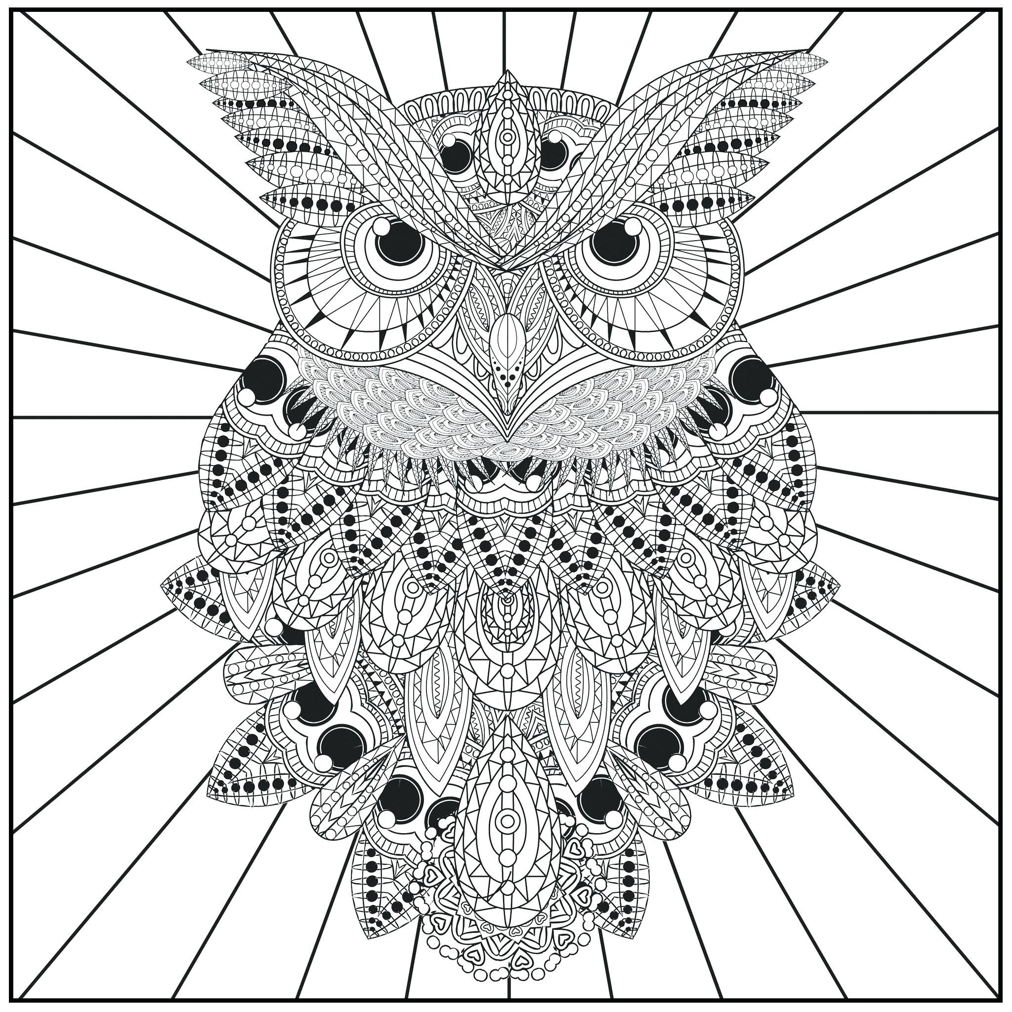 Owl Mandala Coloring Pages For Kids Drawing With Crayons