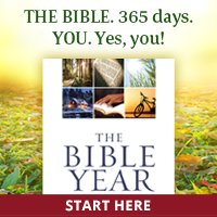 The Bible Year